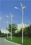 Wind Solar Hybrid Street Light, Solar Street LED Light, 30W LED Solar Street Light