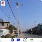Solar LED Street Light 80W LED Street Light Made in China