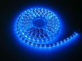 LED Strip Light/Under Water 5050 60LED/M Strip Light (IP68)