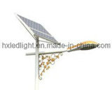 Professional Supplier of LED Solar Street Light (HXSN0106)