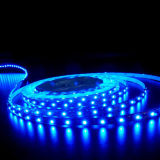 CE RoHS LED Source LED Strip Light 3528 120LED 4mm
