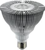 PAR38 LED Spotlight, High Power LED Spotlight (WD-PAR38-9XPE)