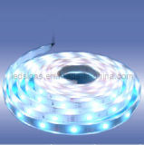 Waterproof LED Strip Light (LS-5050)