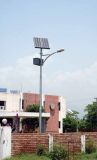 Professional, , Competitive Solar LED Street Light