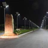 Outdoor Supplier 6m 30W Solar LED Street Lights