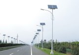 Economical Type 6m 30W Solar LED Street Light