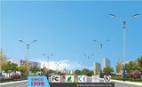 LED Outdoor Street Light (DL0065)