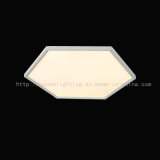 LED Ceiling Lamp / Ceiling Light (HS31055X)
