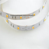 2-Year-Lifespan SMD5050-30 LED Strip Light with CE RoHS