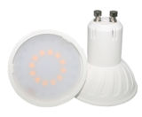 3W LED Plastic Spotlight with 240lm, 2835SMD, CE&RoHS Certificate