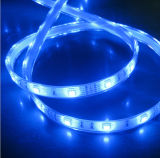 RGB LED Strip Light/ Under Water SMD5050 Strip Light (IP68)