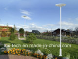 30W Solar Light with LED for Outdoor Light