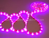 LED Flex Strip Light in Pink Purple Color 12V