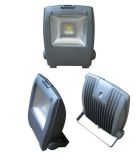 Integrated Chip 10W LED Flood Light for Garden Billboard (MF-TGD007)
