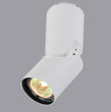 LED Ceiling Light, LED Spot Light, 10W LED Display Light (TLDS100/10W)