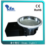 30W LED Down Light (CN-DL09-PW30-H8/CN-DL09-WW30-H8)
