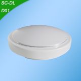 LED Ceiling Light (SC-DL)