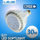 LED Spotlight 30W PAR30