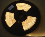 LED Strip Light (120LEDs/M, 48W/Reel)