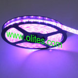 LED Auto Strip Light (OL-FLSW352860-R)