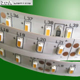 12V LED Lights, 12V LED Lighting and 12V LED Light Strip