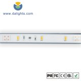 12mm Wide White Color PCB LED Strip Light