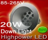 LED Down Light (RL-DLW20)