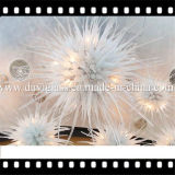 White Sharpen Blown Glass Ornament Chandelier Light for Decoration