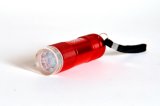 9 LED Flashlight (XZX 101-9 LED)