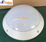 Hot Sale High Quality 18W CFL Outdoor Ceiling Light