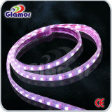 5050 SMD LED Strip Light with CE Waterproof for Holiday Decoration