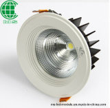 3W LED Downlight/LED Ceiling Light
