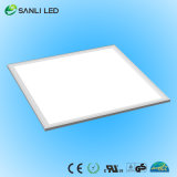 Cool Wihte 60*60cm LED Panel Light with Dali Dimmer