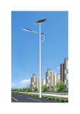 (BRSL-110) Solar LED Street Light