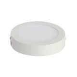 6W 12W 18W Surface Mounted LED Ceiling Light