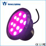 DC12-36V Colorful IP68 36W Swimming LED Pool Light