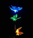 Solar Butterfly Colors LED Light