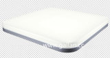 Modern Design 40W LED Ceiling Light with CE CCC (GHD-LSC5427)