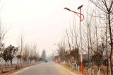 Solar Street Lighting with 80W 100W and 150W LED Lamps
