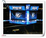 Stadium LED Display for 12mm Indoor Display (White SMD)