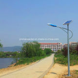 8m 60W LED Solar Light with ISO9001, CE, Soncap Approved