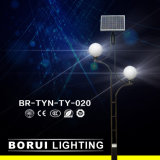 Br-Tyn-Ty-020 15W Solar Garden Lighting