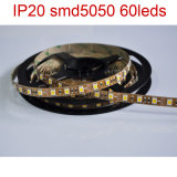 IP20 Nonwaterproof LED Flexible Strip Light 60LEDs/M