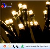 50 LEDs Solar Color String Lights for Decoration Day