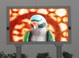P10 Outdoor Full Color LED Display/LED Display