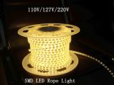3528/5050SMD LED Rope Christmas Light LED Strip