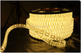 LED Outdoor Rope Light for Decorative Lighting