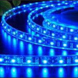 DC12V Waterproof LED Strip in 60LEDs Per Meter, Light Strips for Xmas Holiday Lighting Decoration