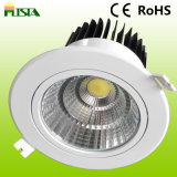 30W LED Down Light with Good Quality