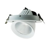 24W LED Ceiling Light with Adjustable Downlight